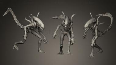 3D model Xenomorph (STL)